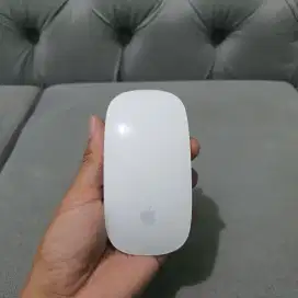 Apple Magic Mouse Gen 1 white Bluetooth