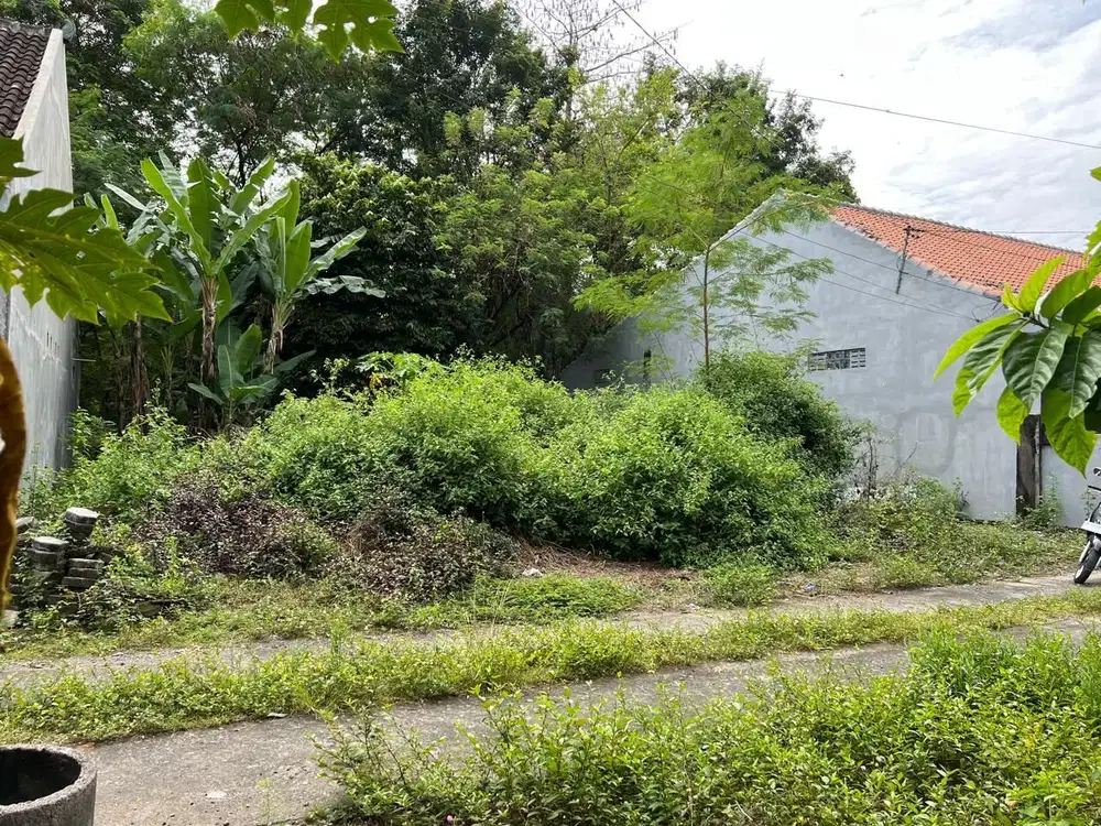 BU, Dijual Murah Tanah Jogja Kawasan Perumahan Kadisoka Sleman