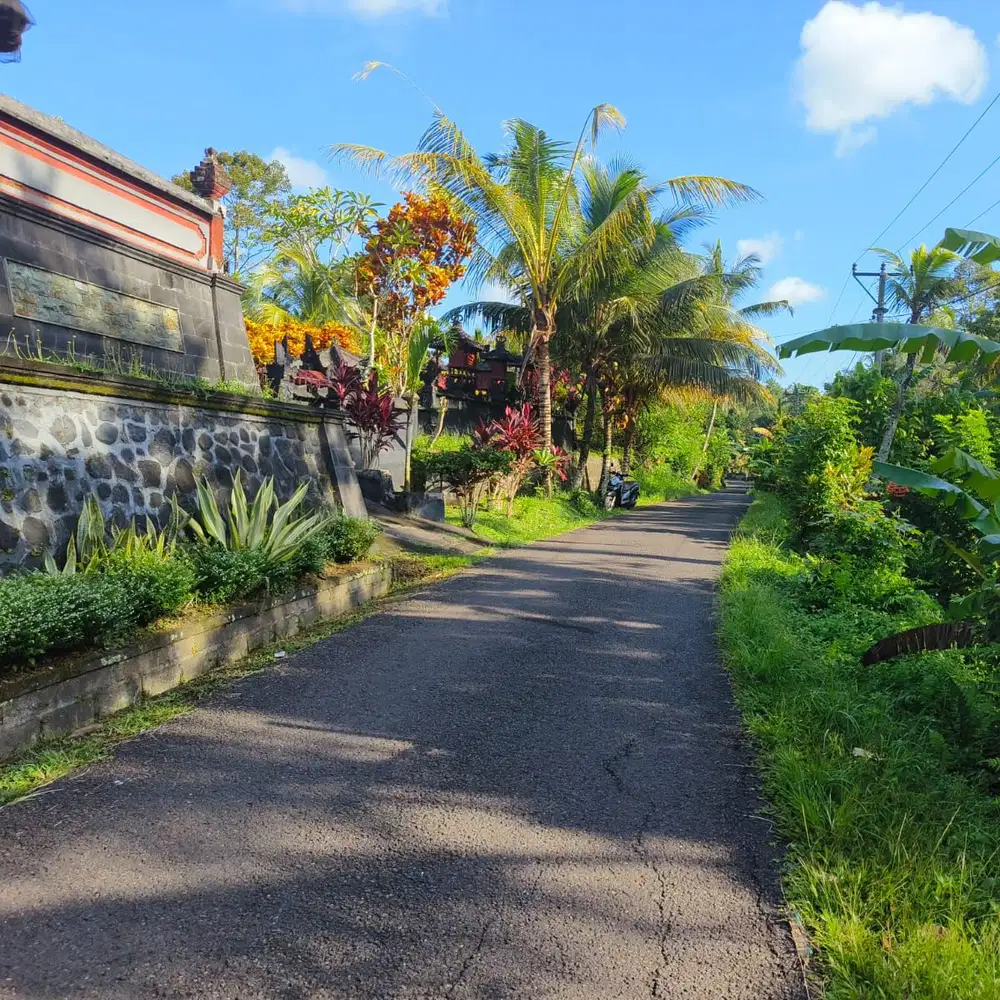 jual tanah kebun los sungai indah di tabanan bali