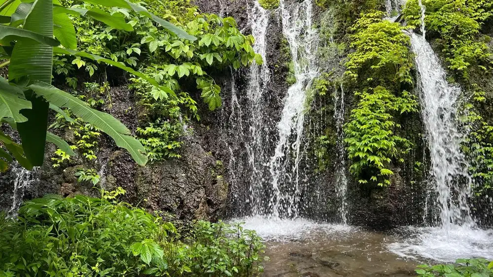 Jual tanah isi mata air besar Los sungai jernih di tabanan bali.
