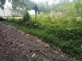 Di jual lhan tanah darat lt 800 mtr pinggir jln desa