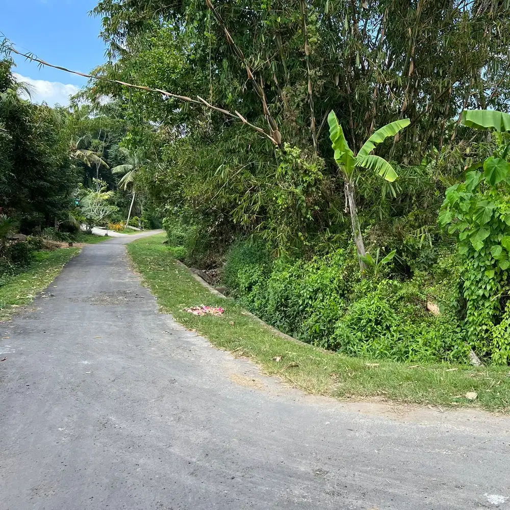 di jual tanah luas kecil dekat jalan utama di tabanan bali