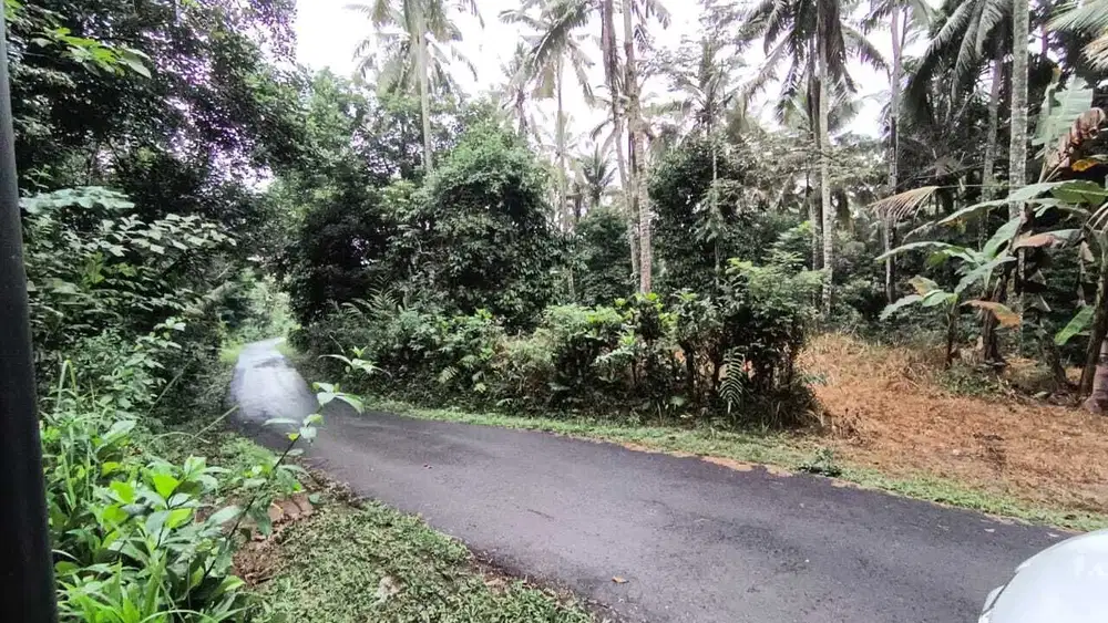 Jual tanah kebun lebih tinggi dari jalan di tabanan bali
