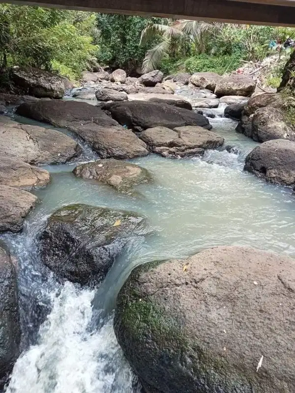 tanah kebun los sungai murah di bali