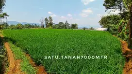 Dijual tanah luas tepi jalan strategis investasi cuan