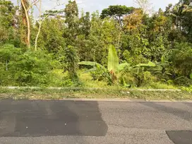 Tanah Pekarangan Bagus Murah di Gamping Sleman TP 131