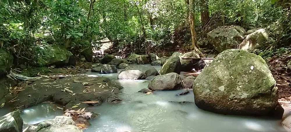 Dijual tanah kebun Los sungai di tabanan bali.