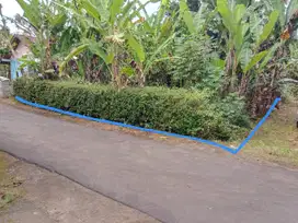 Dijual Tanah Pekarangan di Moyudan Godean Sleman
