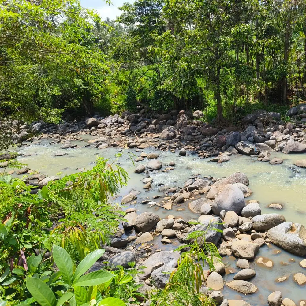 jual tanah kebun los sungai luas kecil di tabanan bali