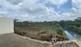2.5 Juta per Meter, Luas Tanah 3000 m2, Tanah di Pasar Kemis, Tangeran