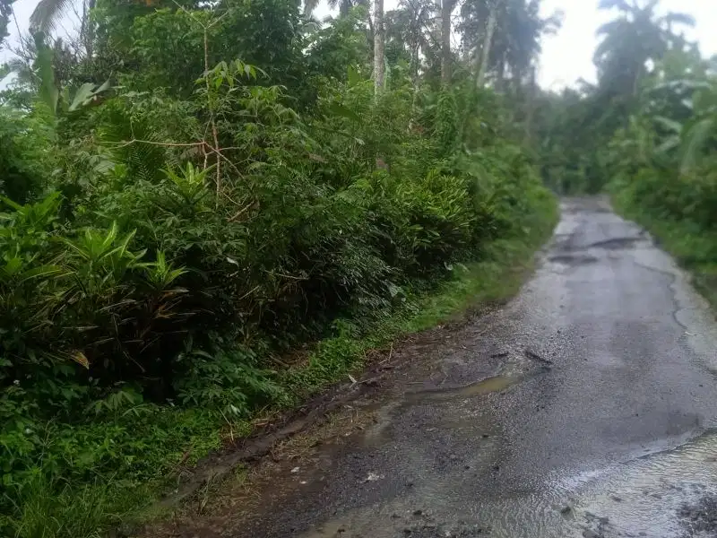 tanah kebun jual cepat