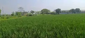 Dijual Murah Tanah Sawah di Sumberurip Pebayuran Bekasi