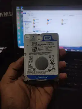 Hardisk WD 500GB