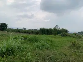 Tanah Murah Landungsari, Dekat Pondok Thursina dengan Jalan Akses Bagu