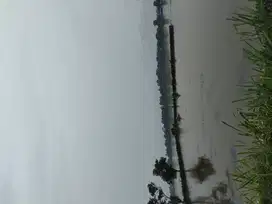 TANAH LUAS CIKONENG BOJONGSOANG UNTUK DIBANGUN PERUMAHAN