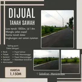 COCOK UNTUK INVESTASI MAUPUN USAHA SAWAH STRATEGIS MANISRENGGO