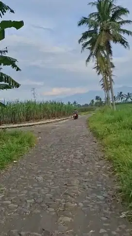 Tanah Poros Jalan Sumberkradenan Pakis Malang