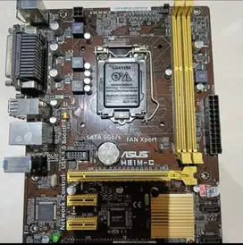 Mainboard Asus H81M
