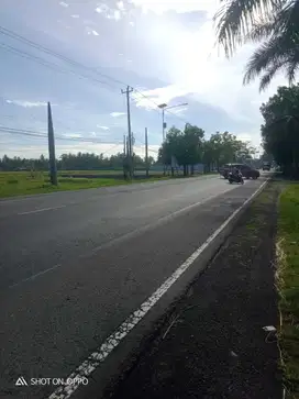 JUAL TANAH DI JALAN NASIONAL SOGAN WATES MURAH