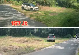 Area Pemda Sleman Tanah Murah 157 Jt Luas 90m