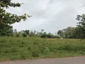 TANAH DI JUAL DEKAT ITERA SABAH BALAU