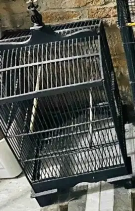 Kandang Burung Kokoh dan kuat