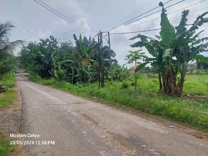 TANAH DI JUAL DEKAT KAMPUS ITERA