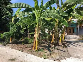 DIJUAL TANAH SEKITARAN JETIS BANTUL YGYA