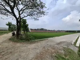 Tanah zona kuning area solobaru
