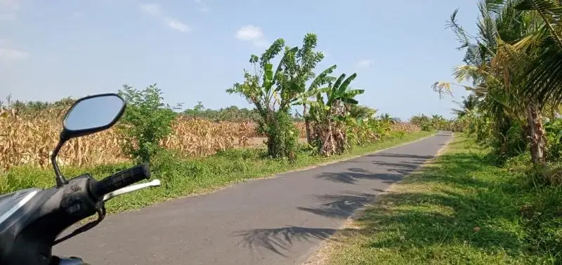 tanah 100 meter dari pantai murah di tabanan bali