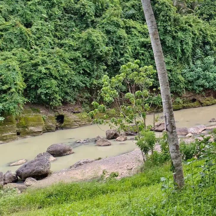tanah kebun los sungai besar di tabanan bali
