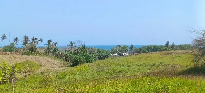 dijual tanah dekat pantai zona akomodasi wisata di tabanan bali