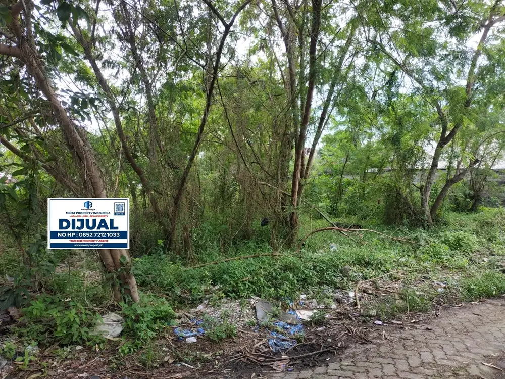 [MP072] Tanah 1.031 m2 Lokasi Jl. Delima - Tanjungpinang