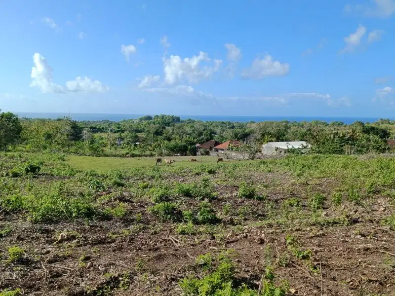 Jual tanah view laut di  Belimbing sari pecatu Bali