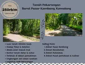 Pekarangan SHM Kemalang 4500m