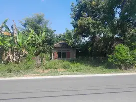 TANAH DIJUAL PINGGIR JALAN, DEPAN BALAI DESA SABRANG LOR TRUCUK