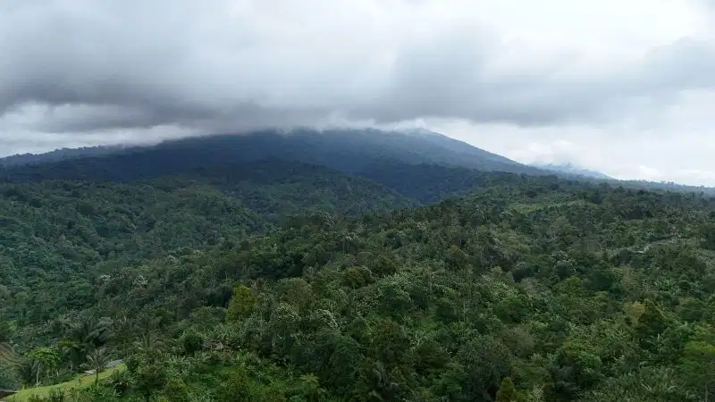jual tanah kebun aneka buah harga murah di tabanan bali.