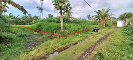 Tanah murah Asrikaton Pakis Malang Bunut SHM Hook Dijual cpt B.U Poll