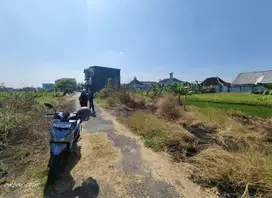 Tanah dekat kampus UIN kartosuro