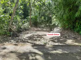 Tanah Strategis Murah di Selatan Tugu Pensil Kulonprogo TP 066