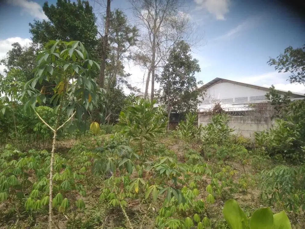 Dijual Tanah di Jl Lintas Timur Km 18 Tenayan Raya