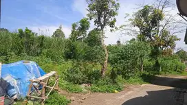 Tanah murah Tirtomoyo Pakis Malang Genitri Dijual cepat B.U dkt Araya