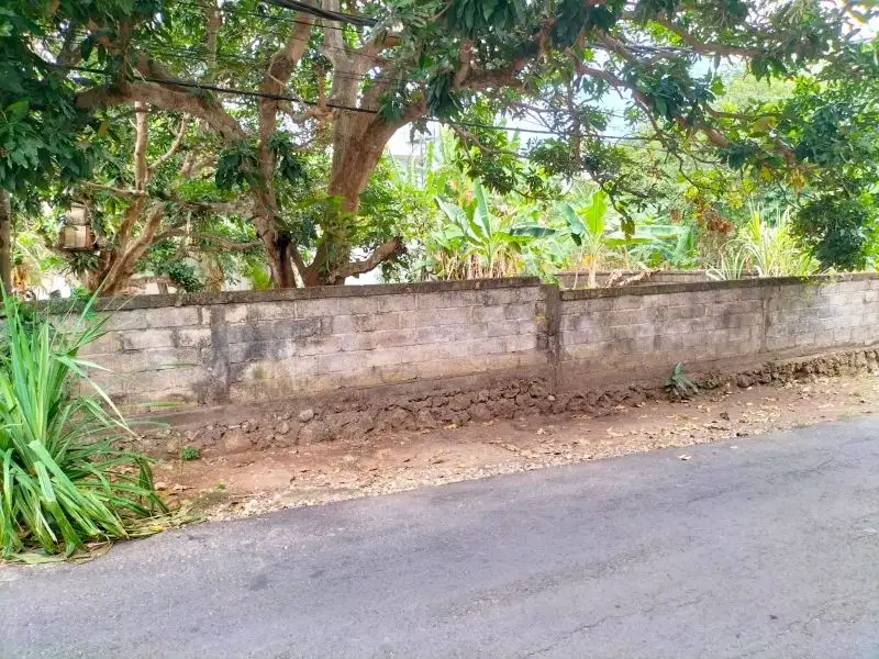 Tanah murah dekat pantai Balangan 200m2 idr 5jt/m2