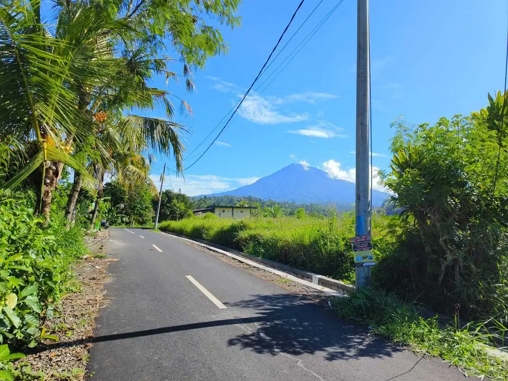 Dijual Tanah Kebun View Sawah Gunung Sungai Di Tabanan Bali