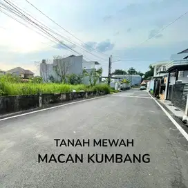 Dijual tanah strategis macan kumbang