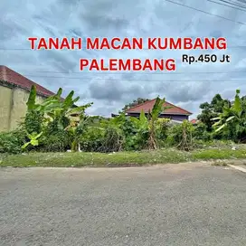 Tanah kancil putih tembus ke macan kumbang