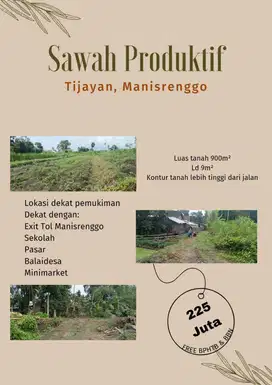 TANAH SAWAH MURAH LUAS 900M MANISRENGGO