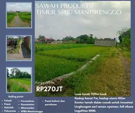 SAWAH PRODUKTIF TIMUR SPBU MANISRENGGO