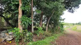 Dijual Tanah Murah Dekat Objek Wisata Bungursari Lake Park Akses Mobil