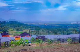 Tanah dijual cepat bonus green house anggur di Bogor